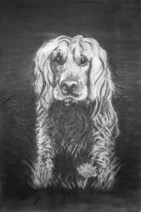 Charcoal on Canvass 30' x 40'. Artwork created in Braidwood, NSW BY Roger Brennan.