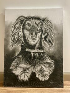 Charcoal on Canvass 30' x 40'. Artwork created in Braidwood, NSW by Roger Brennan - Dachshund.