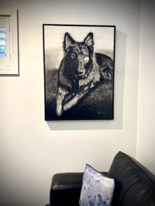 Charcoal on Canvass 30' x 40'. Artwork created in Braidwood, NSW BY Roger Brennan - Alsatian.