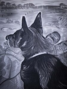 Charcoal on Canvass 30' x 40'. Artwork created in Braidwood, NSW BY Roger Brennan.